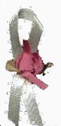 madisonribbona.JPG (6551 bytes)