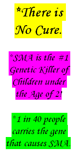 Text Box: *There is No Cure.
 
*SMA is the #1 Genetic Killer of Children under the Age of 2!
 
*1 in 40 people carries the gene that causes SMA.
 
