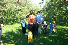 colinappleorchard0010.jpg (292672 bytes)