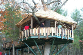 accessible tree house0002.jpg (114387 bytes)