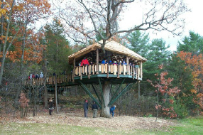 accessible tree house0004.jpg (138078 bytes)