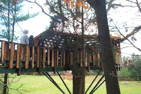 accessible tree house0005.jpg (125983 bytes)