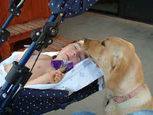 Sadie and Samantha loving each other 5.18.03 007 resized.jpg (61230 bytes)